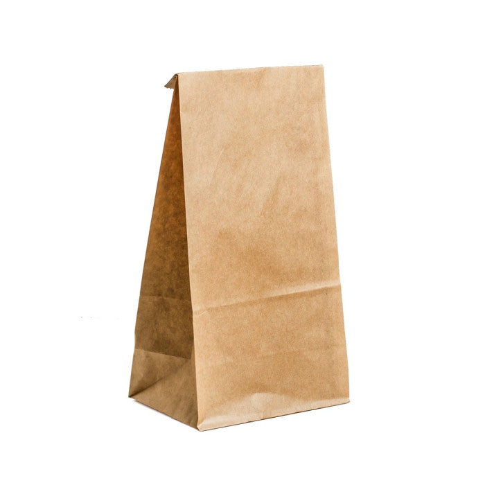 Paper Bag #20 [500ct]