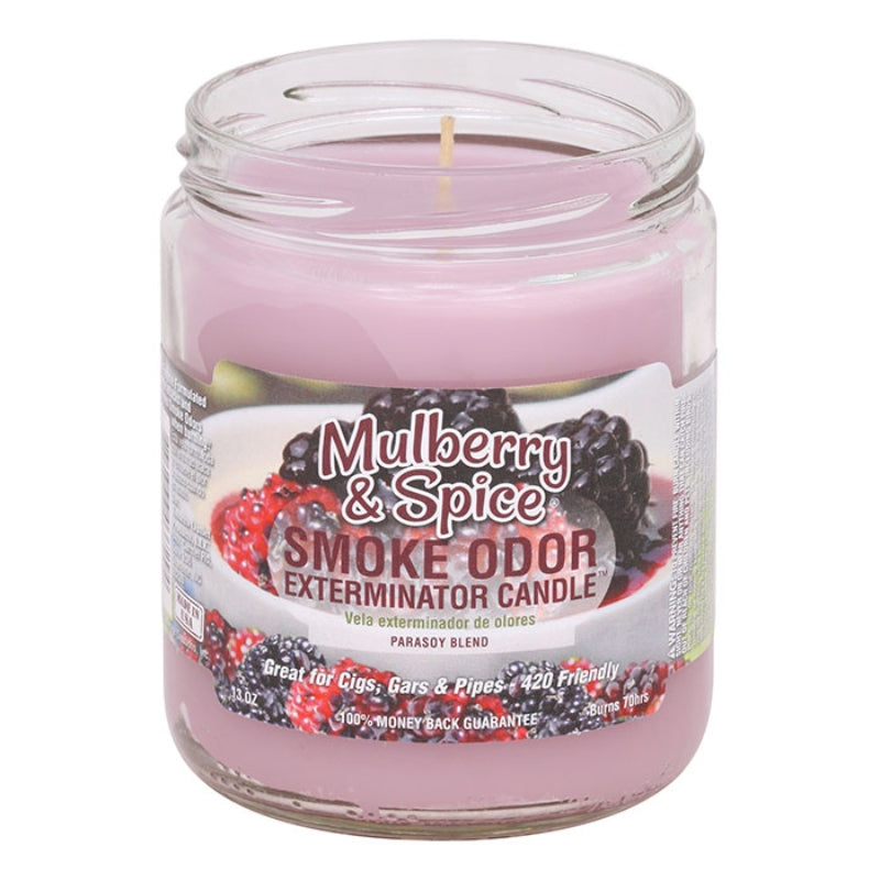 Mulberry & Spice Smoke Odor Year-Round Fragrances Exterminator 13oz Candle
