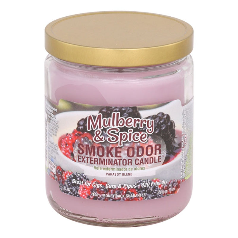 Mulberry & Spice Smoke Odor Year-Round Fragrances Exterminator 13oz Candle