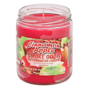 Cinnamon Apple Smoke Odor Year-Round Fragrances Exterminator 13oz Candle