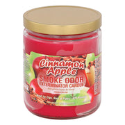 Cinnamon Apple Smoke Odor Year-Round Fragrances Exterminator 13oz Candle